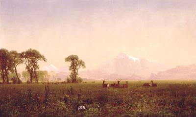 Albert Bierstadt Elk Grazing in the Wind River Country Sweden oil painting art
